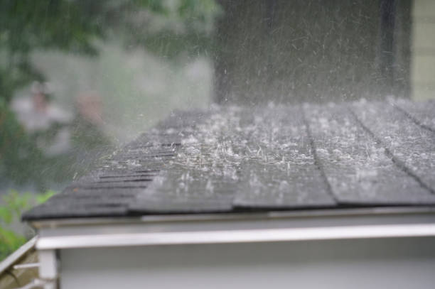 Best Roof Moss and Algae Removal  in Meadville, PA